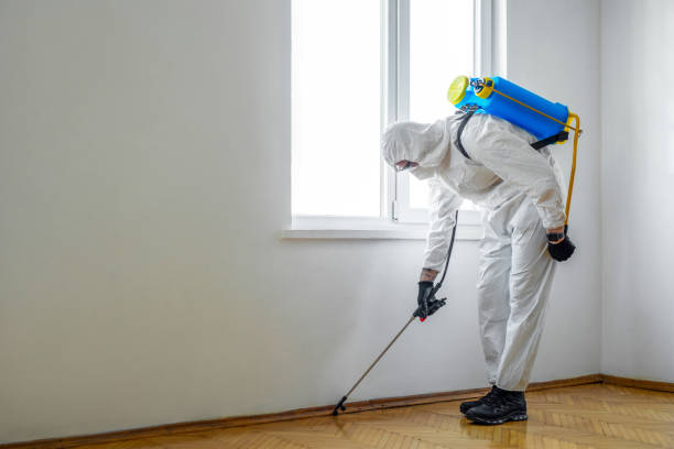 Trusted Loyalhanna, PA Pest Control Experts