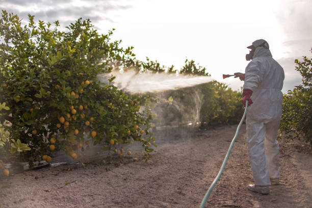 Best Ant Control Services  in Loyalhanna, PA