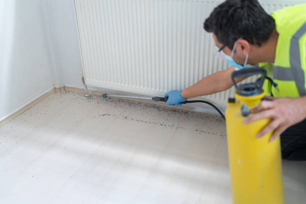 Best Bed Bug Extermination  in Loyalhanna, PA